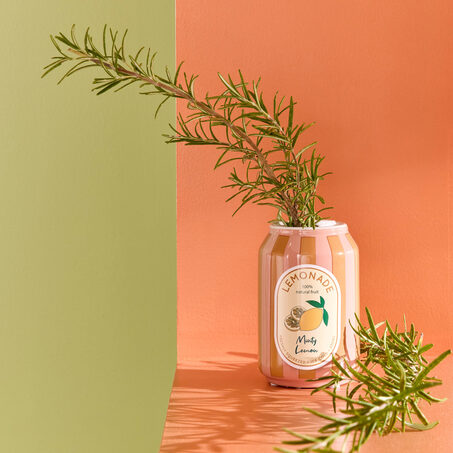 Soliflore CANETTE DE LIMONADE coloris orange
