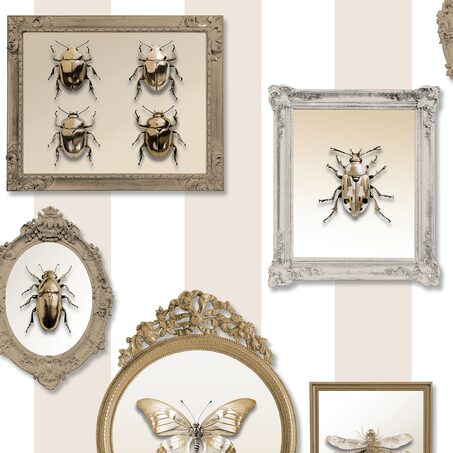 Papier peint intissé INSECT PORTRAIT coloris sable beige