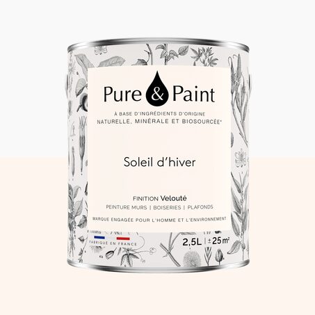 Pure and Paint Peinture Peinture SOLEIL D'HIVER
