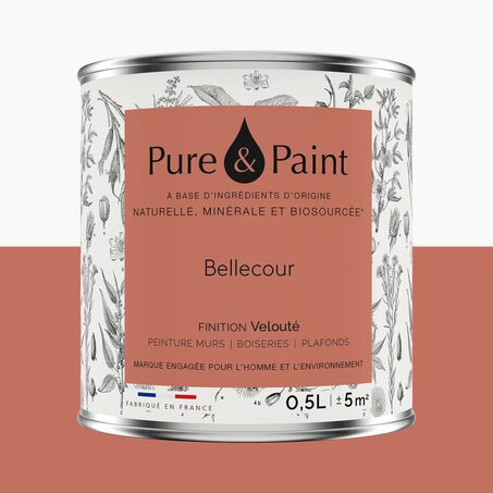 Pure and Paint Peinture Peinture BELLECOUR 0,5 L