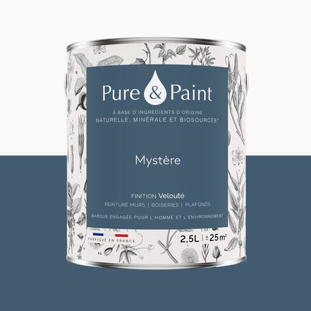 Pure and Paint Peinture Peinture Mystère