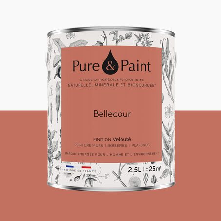 Pure and Paint Peinture Peinture BELLECOUR