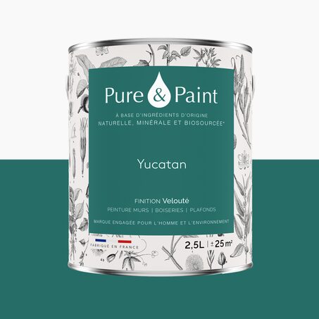 Pure and Paint Peinture Peinture Yucatan