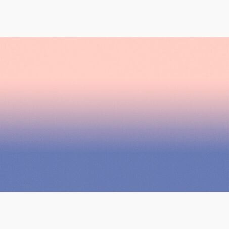 Papier peint panoramique XL MYRIEL 400 x 270 cm bleu urbain et rose poudré