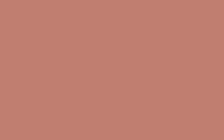 Maison déco Peinture RELOOK MEUBLES Acrylique terracotta Satiné 0,5 L