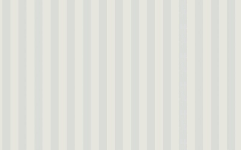 Fibre à peindre expansée sur intissé STRIPE