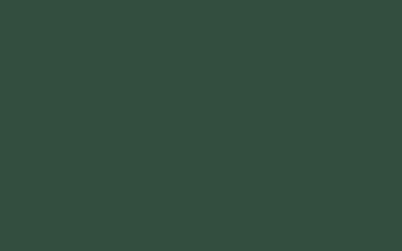 Maison déco Peinture  Acrylique vert foret Satiné 400 ML