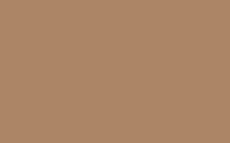 Maison déco Peinture  Acrylique cuivre Brillant 400 ML