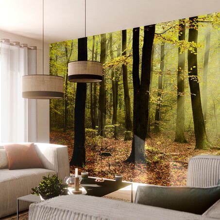 Papier peint panoramique XXL BASOA 500 x 250 cm