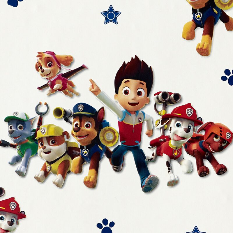 Frise de papier peint adhésive paw patrol - la pat' patrouille bleu et vert  - 600027 - 14 x 500 cm 600027 - Conforama